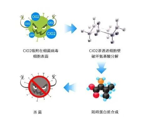 過氧化物類消毒劑消毒原理